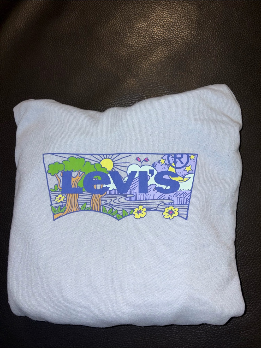Levi's baby blue hoodie